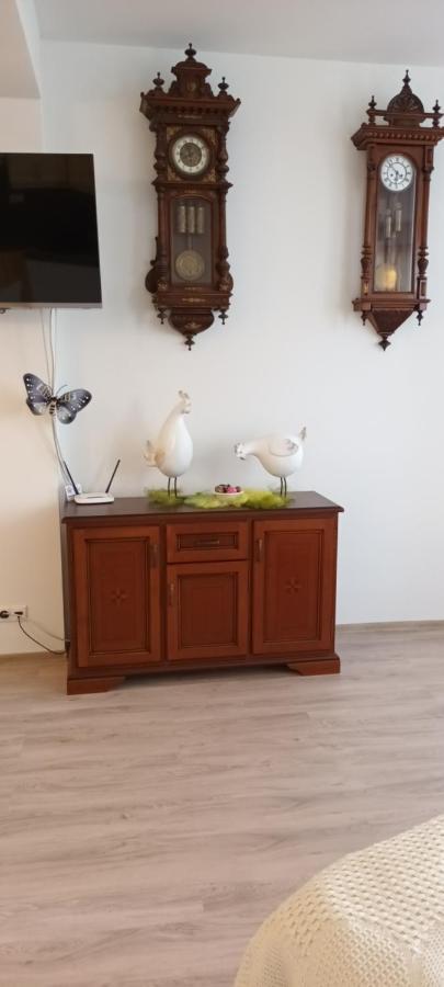 Apartman Ostry Vrsok V Starom Smokovci Διαμέρισμα Vysoké Tatry Εξωτερικό φωτογραφία